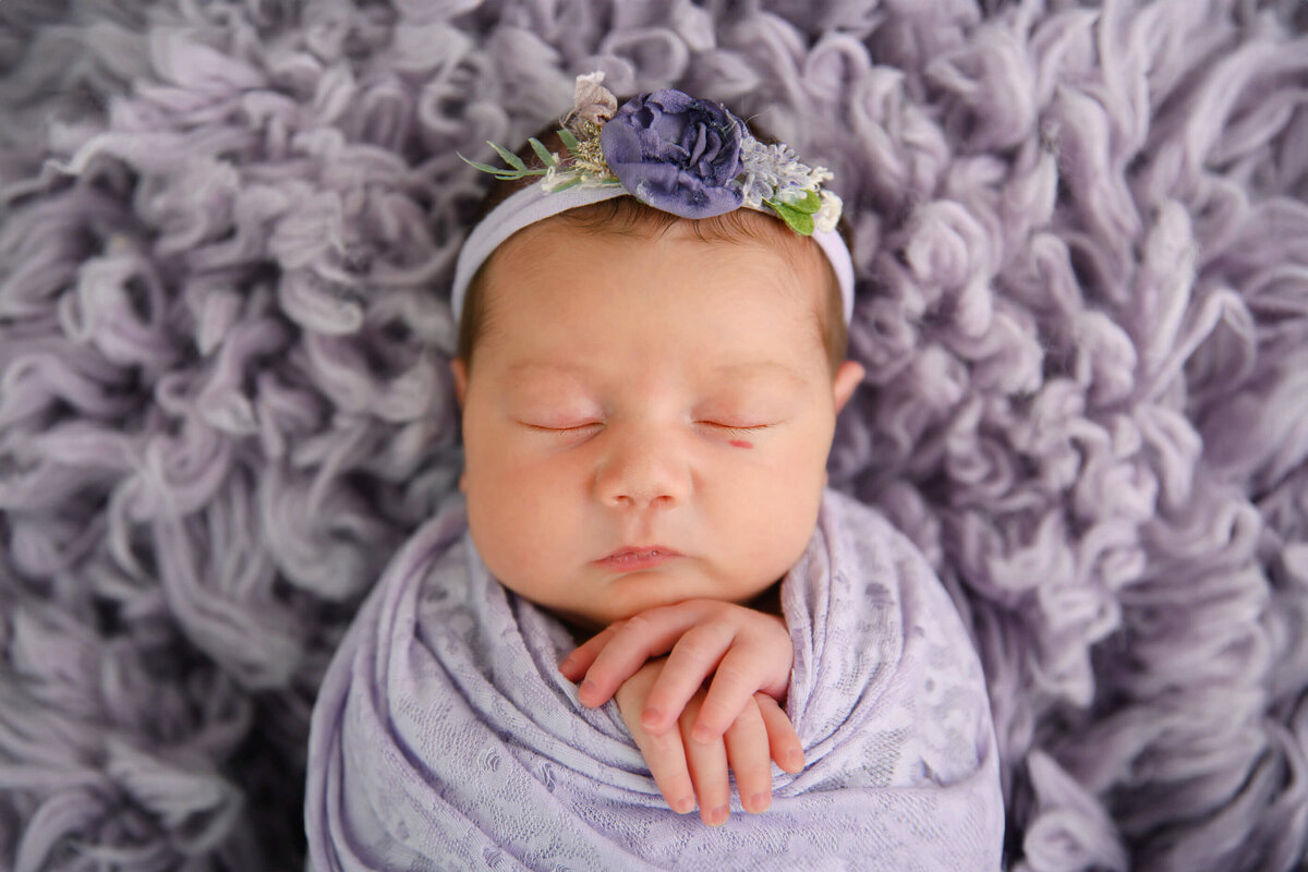 newborn girl wrapped in purple on a purple rug for her Burlington, Ontario newborn photography session 