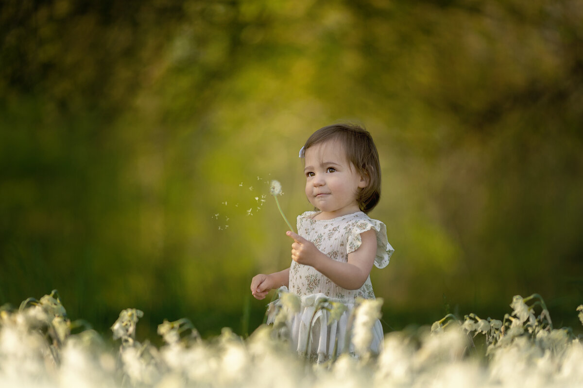 A toddler girl blows a dandelion in a park at sunset