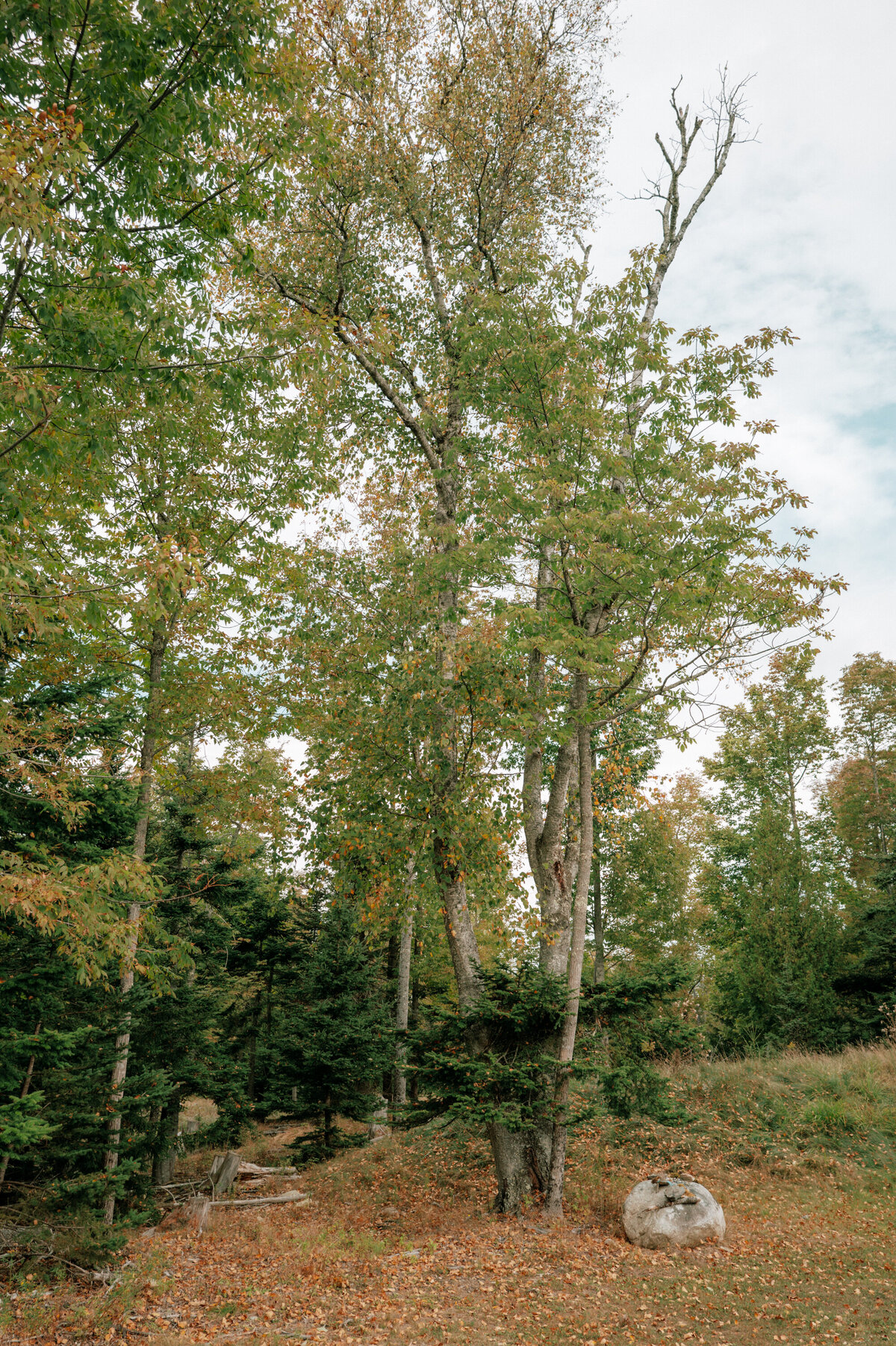 Islesboro_Maine_Island_Wedding-8