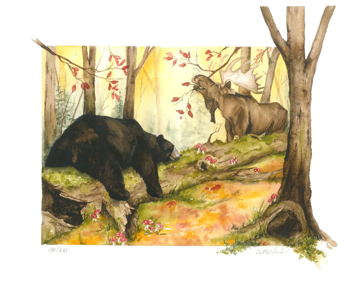 #13 'Deep In The Forest'