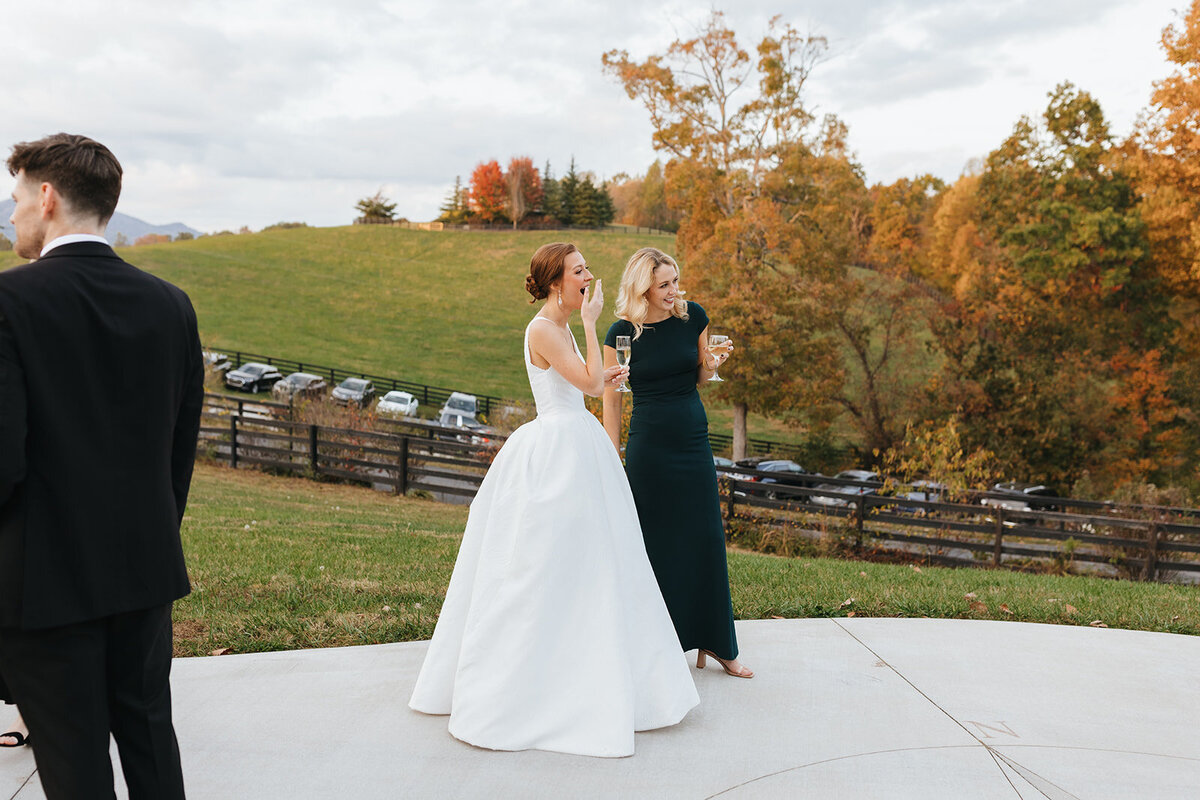 meliandchrisphoto_SS_reception-18_websize