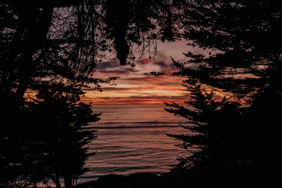 Oceano-Half-Moon-Bay-Wedding-Ruwi-Ben-Kassandra-Thomsen-Photography (566 of 993)