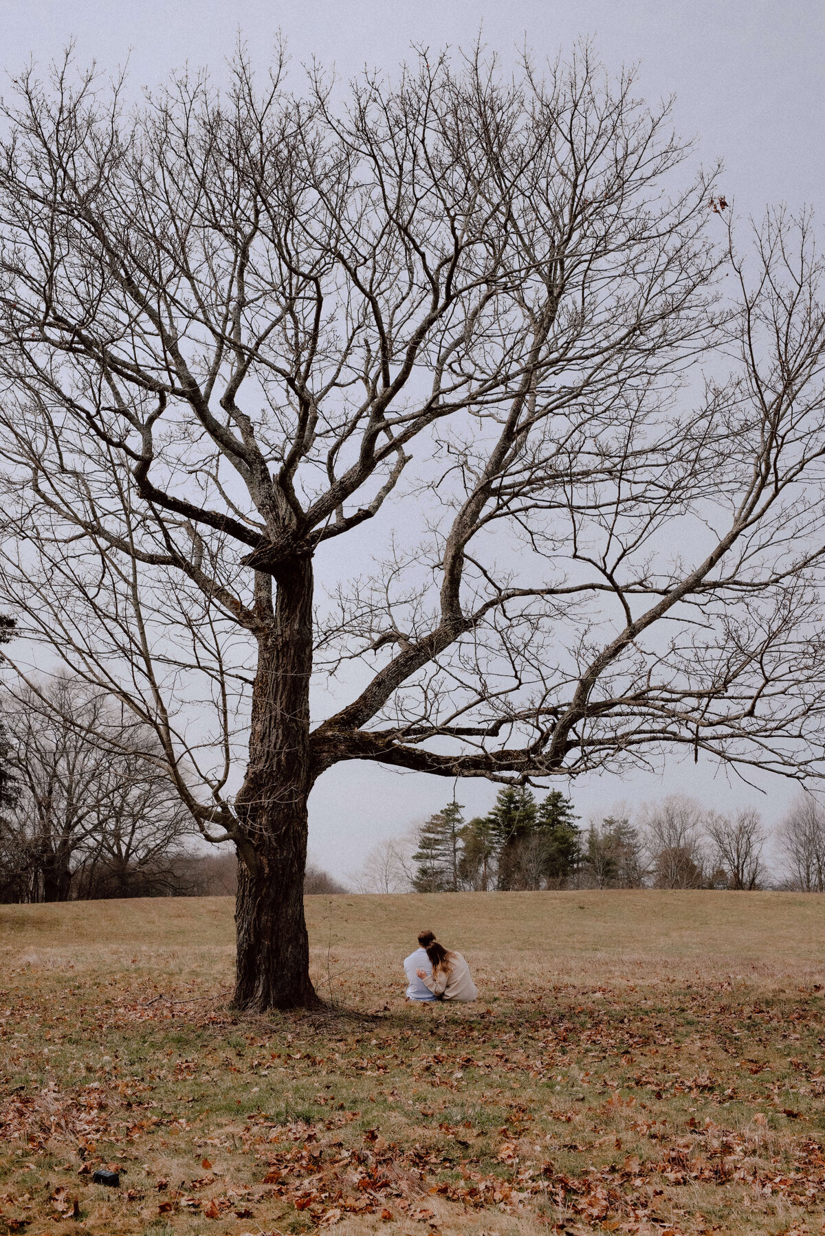 buffalo-engagement-photographer-maris-and-charlie.119