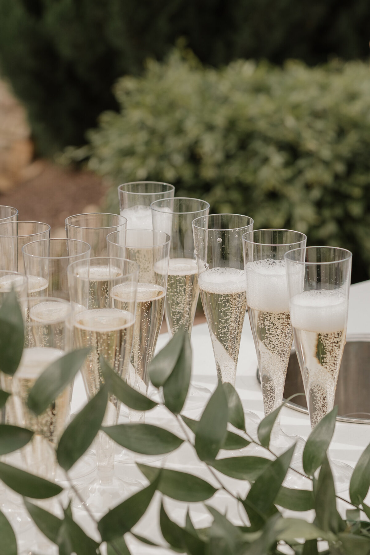 Stephaniesmallphoto-02150