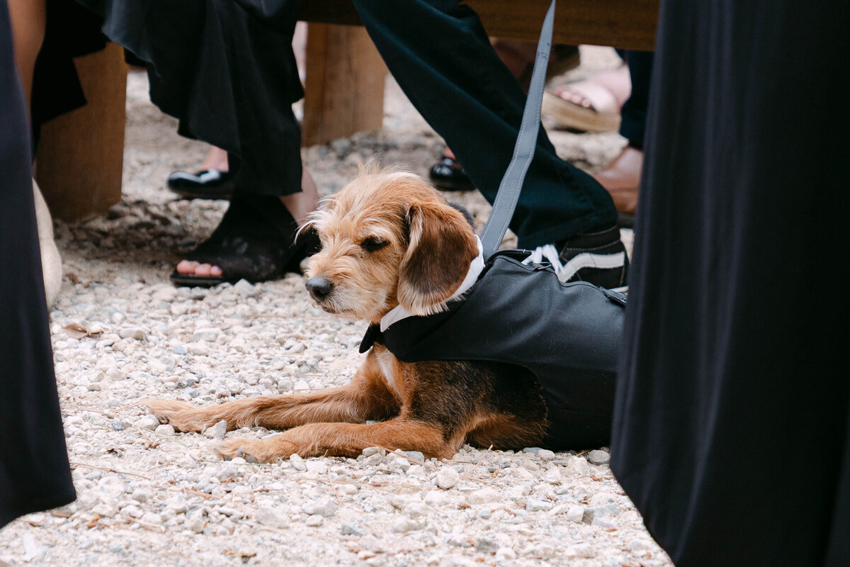 PVANGPHOTOS-Josh+London_060