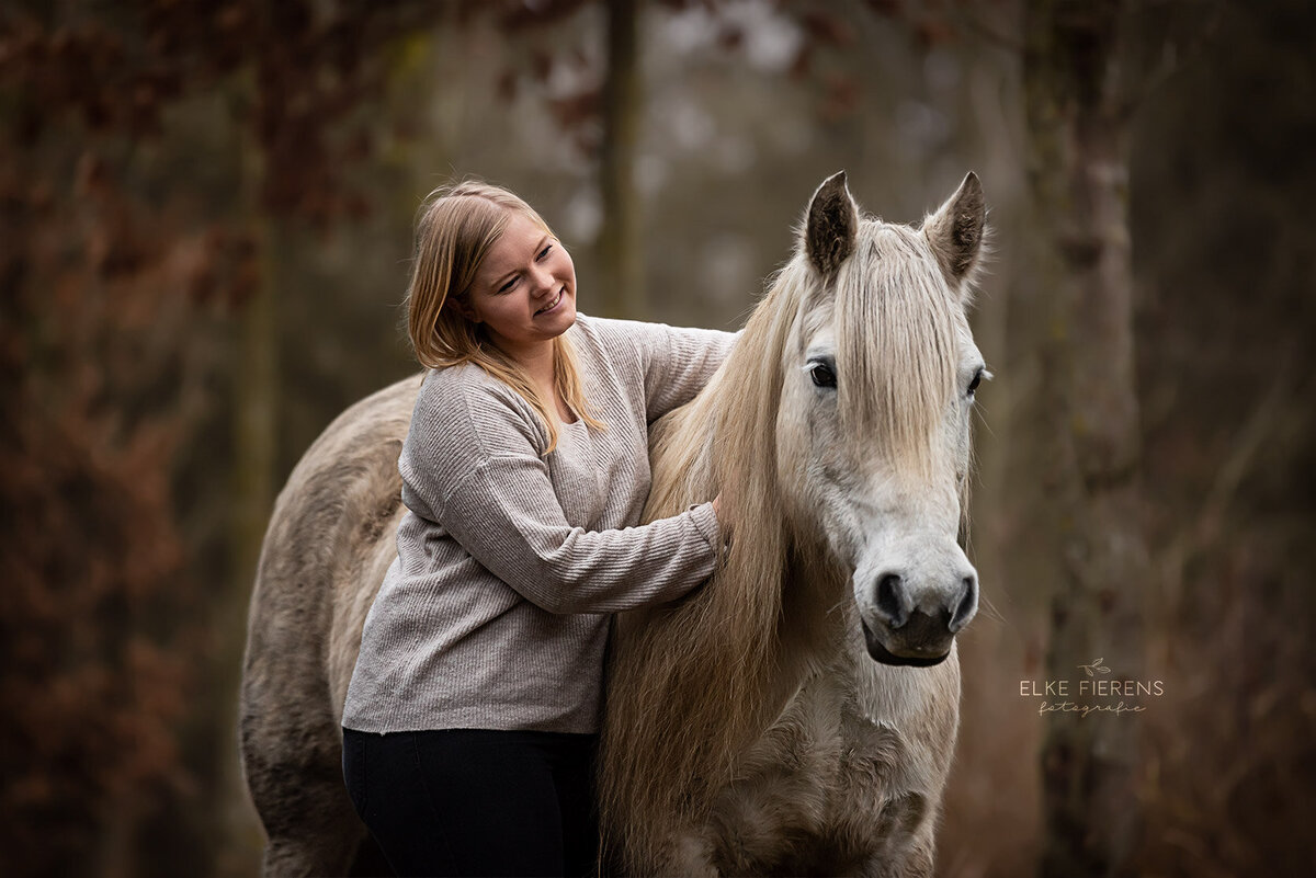 paardenfotograaf - herfst fotografie