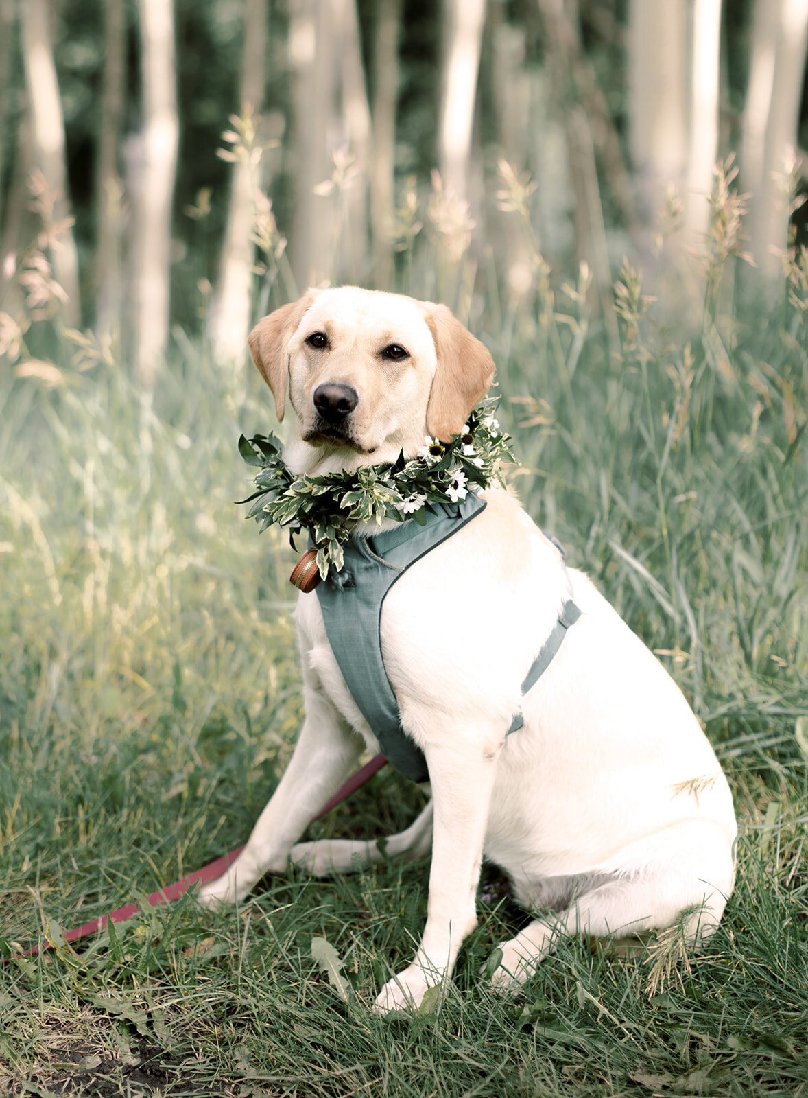 Callie x Eric. Schmid Ranch Wedding by Alp & Isle. Ceremony-19