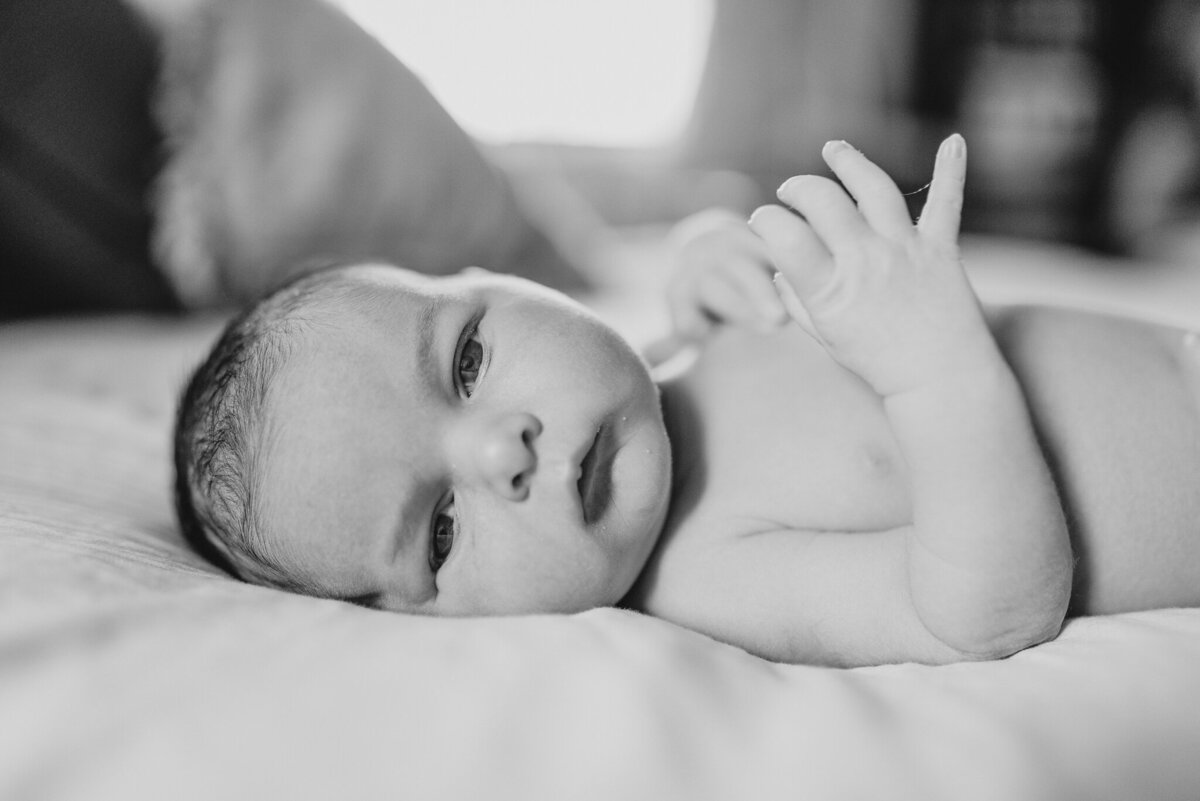 Phoenix-Newborn-Photographer-355