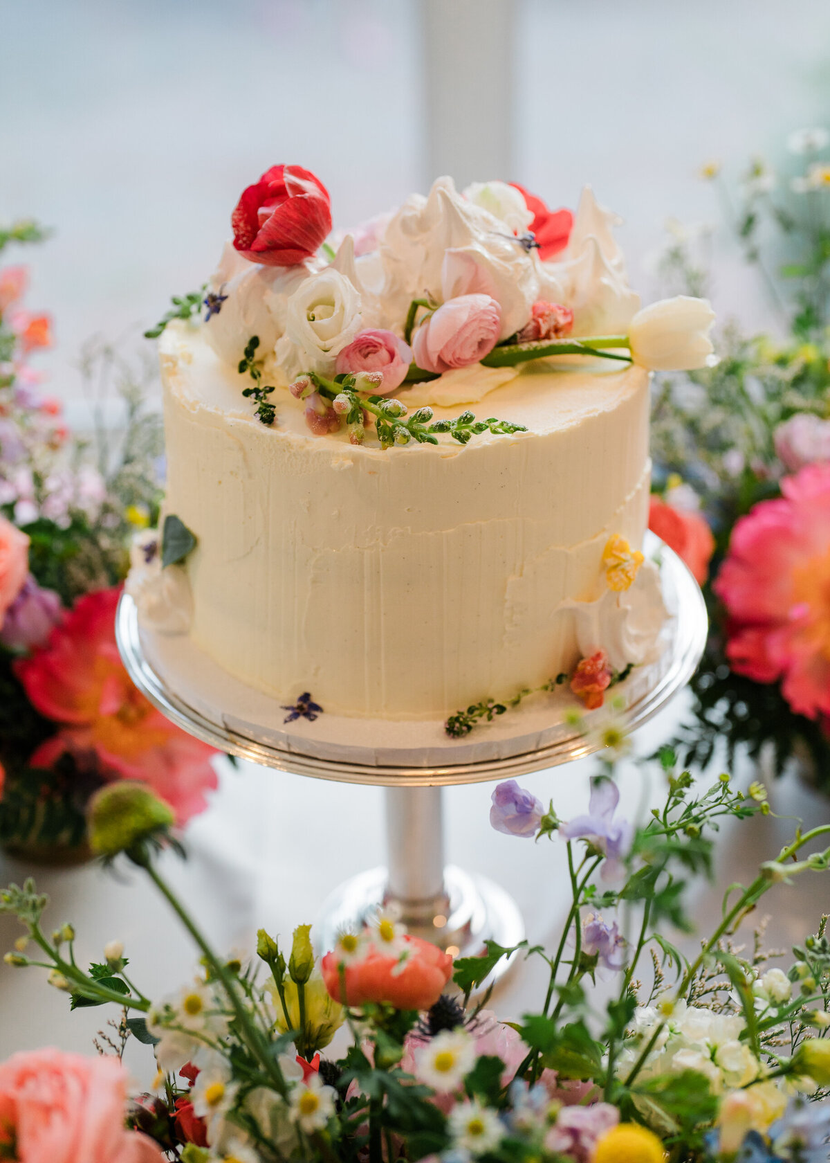 Devin-Vlad-WeddingDay-1225-