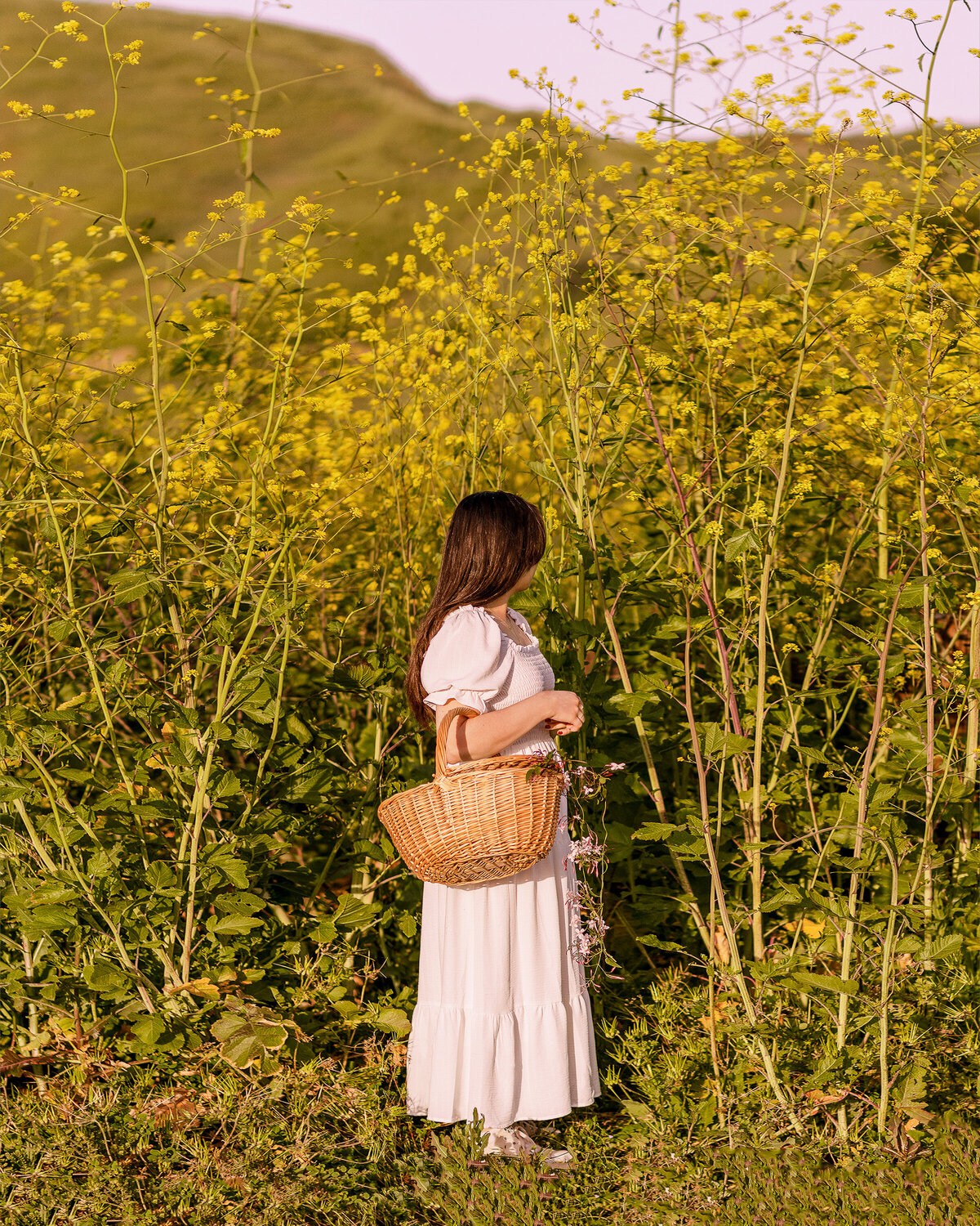 Yellow Flowers Basket Rocksy (4)