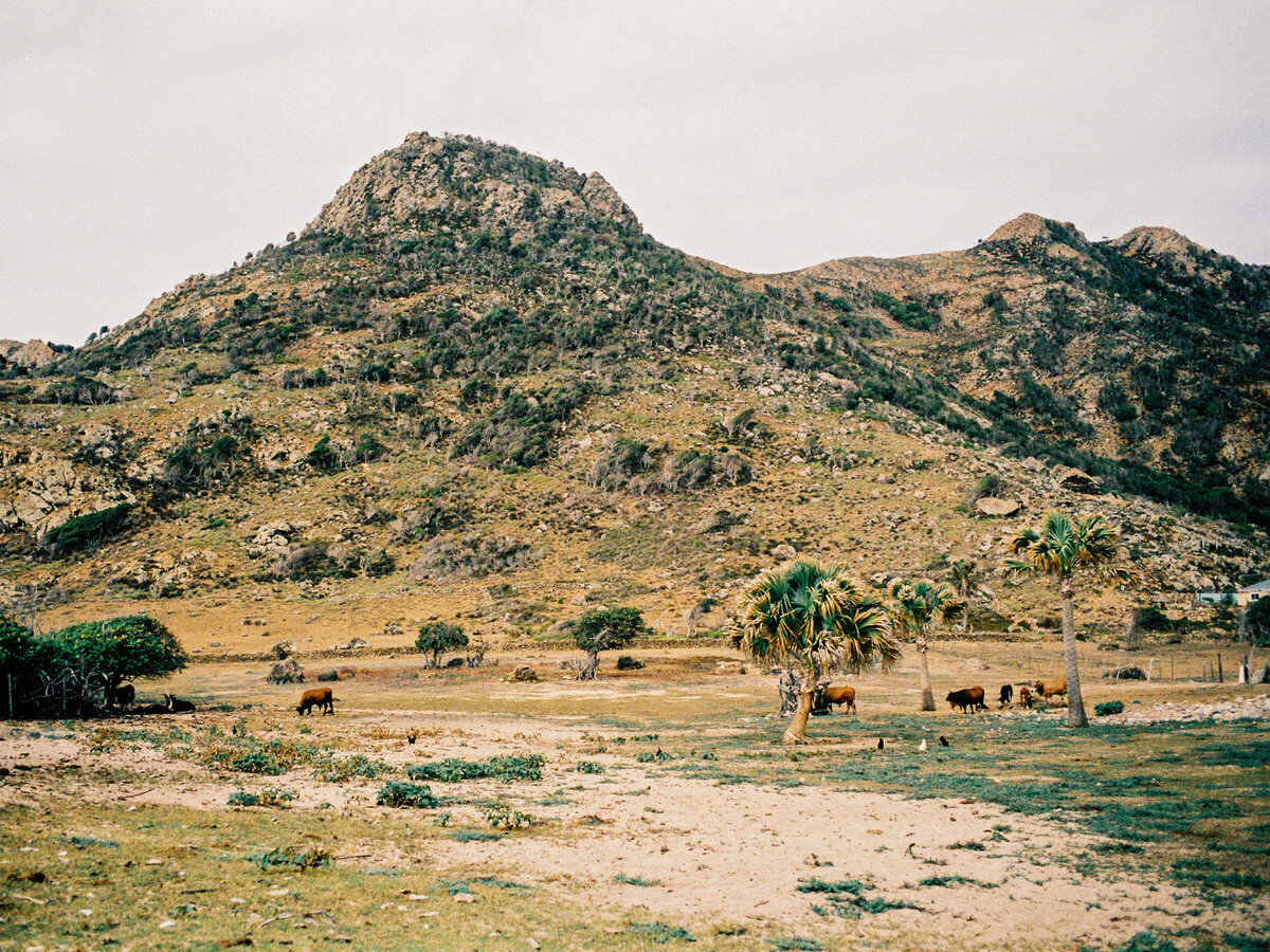 leila-brewster-photography-0416
