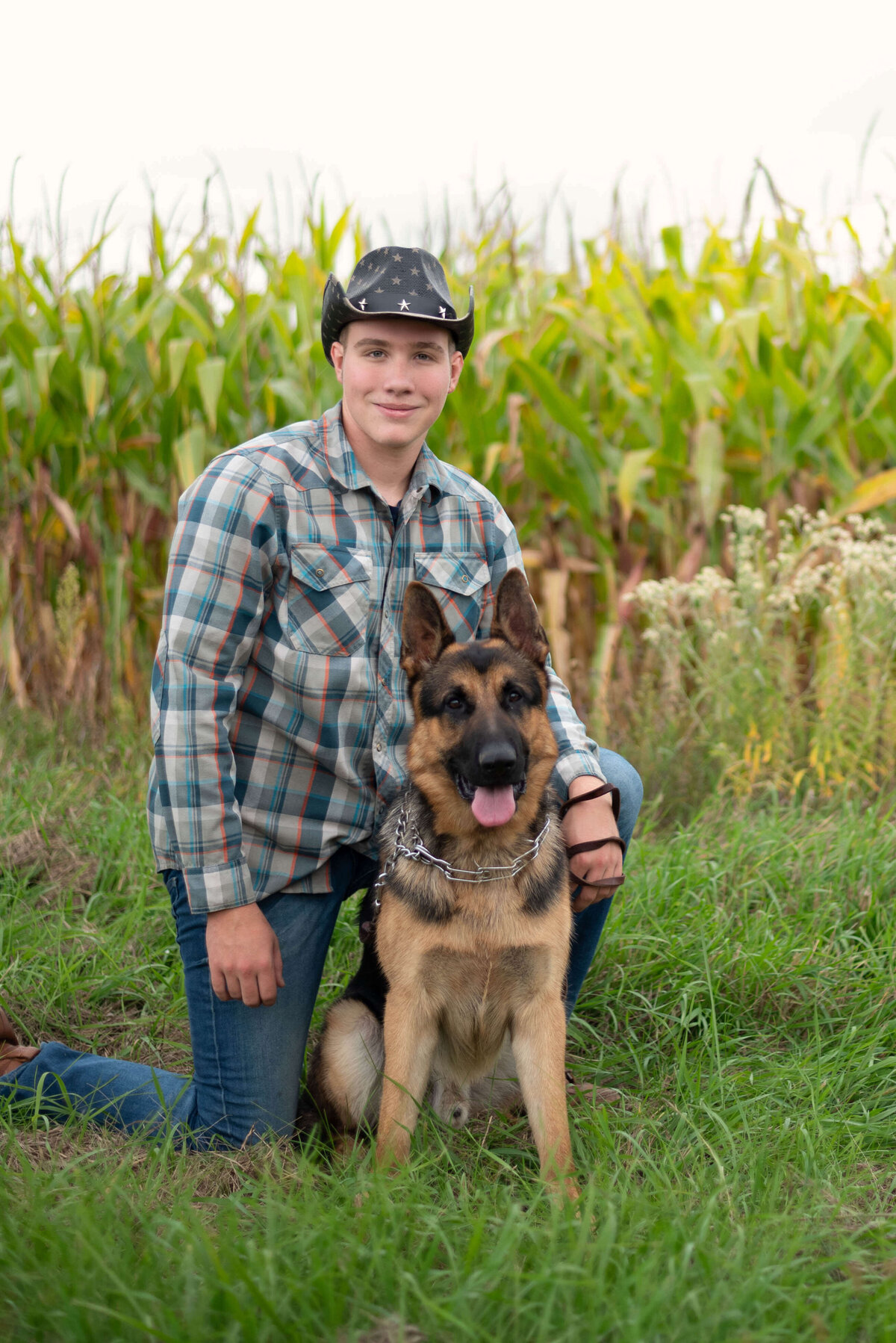 senior-portrait-dog-cornfield