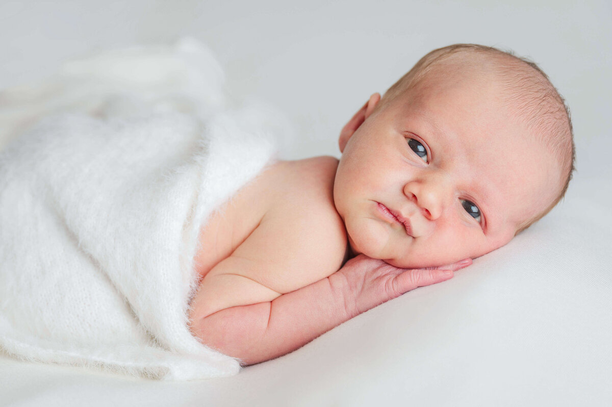 An adorable awake baby resting peacefully on her belly and looking at the camera, covered in a white blanket.