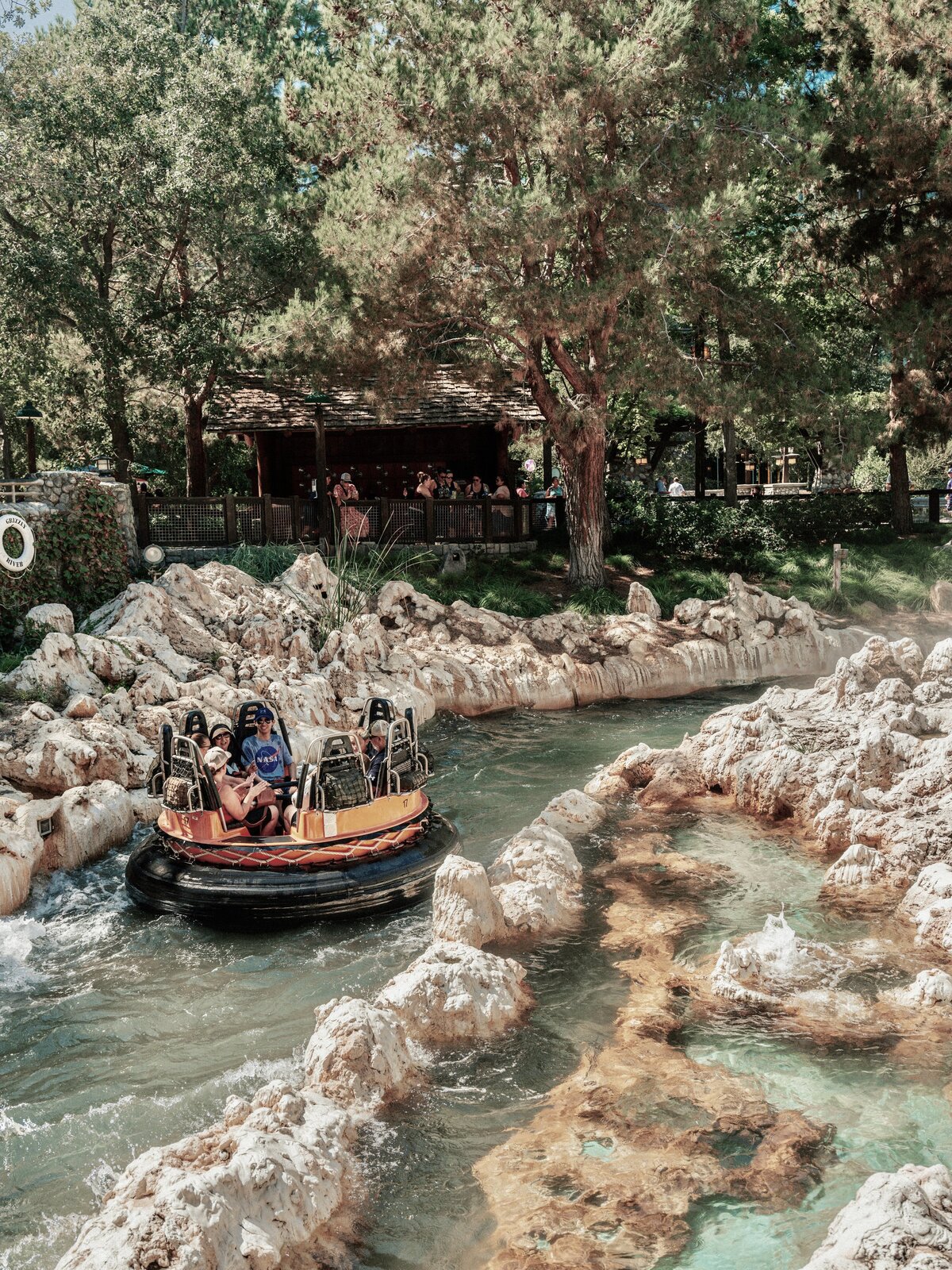 pexels-basiciggy-13821438