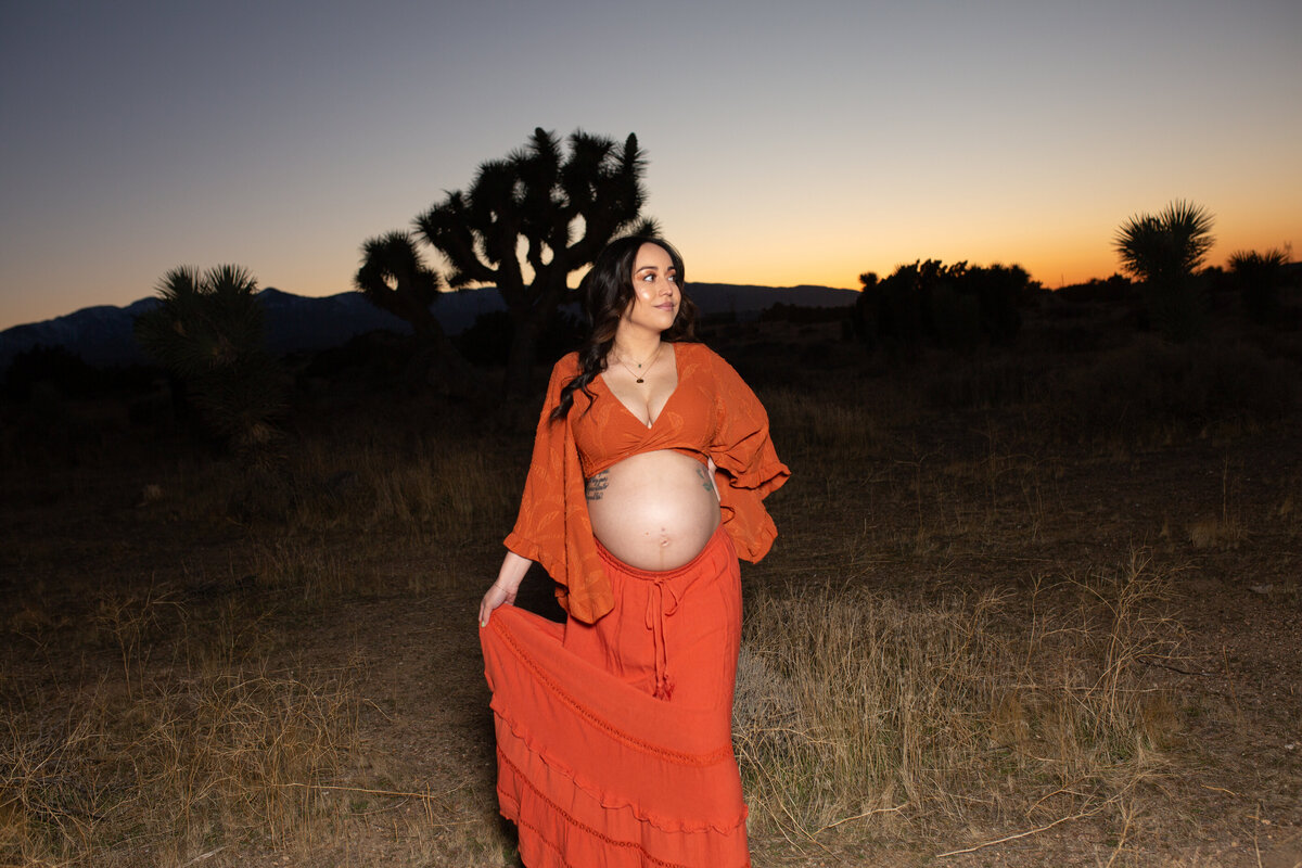 Lasting Memories by Larissa- Maternity Photography  69