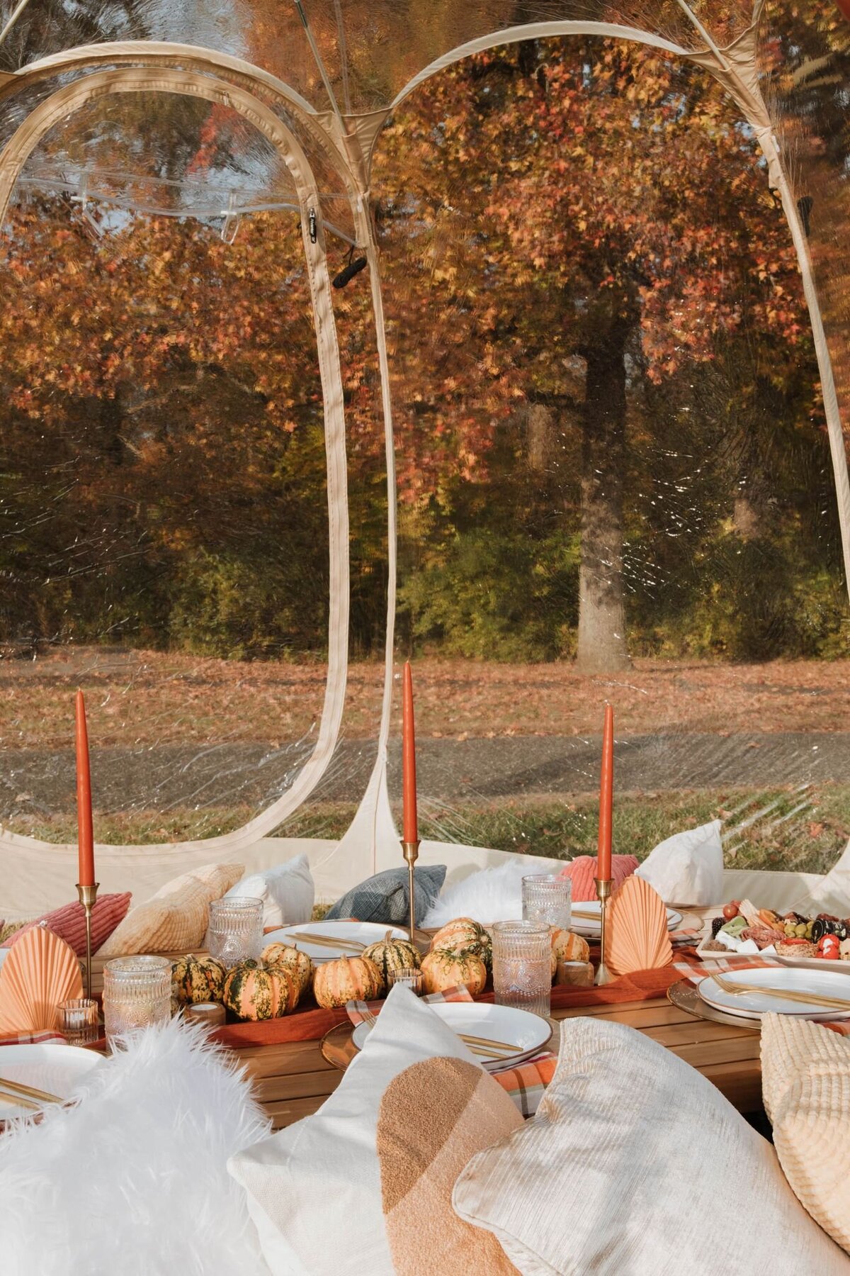 cherry-hill-fall-picnic-26