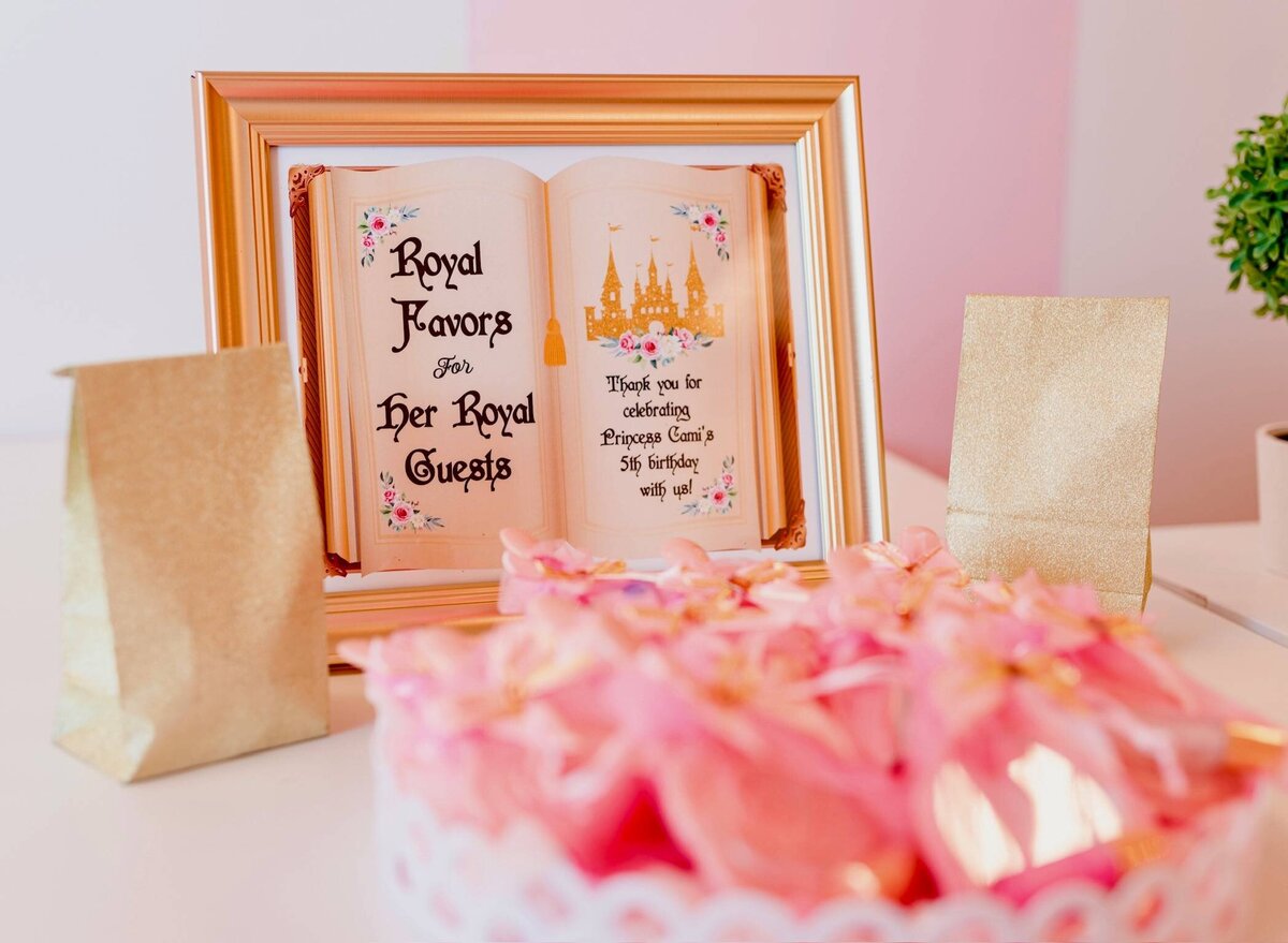 princess-party-erie-co (1)