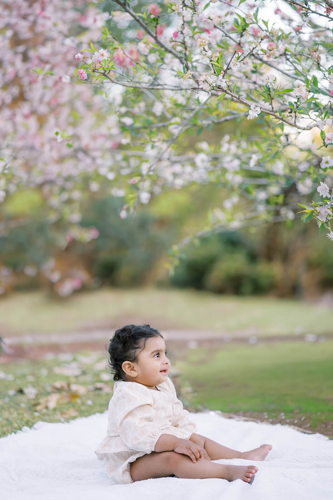 Photo of one year old baby sitting under cherry blossoms having photoshoot session in a Gold Coast park.