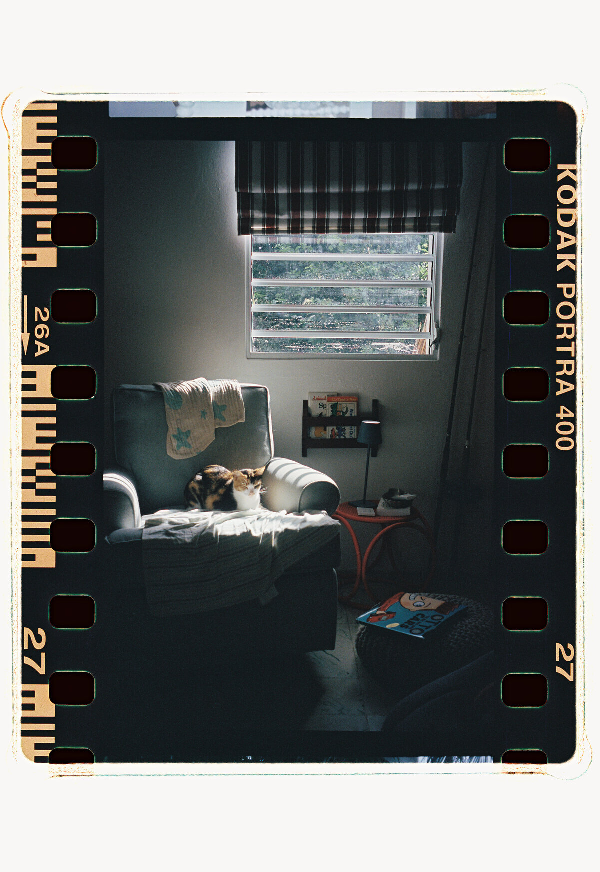 MeredithZ000559-R1-E028