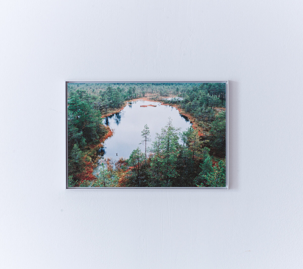 Lake-in-forest_Shop