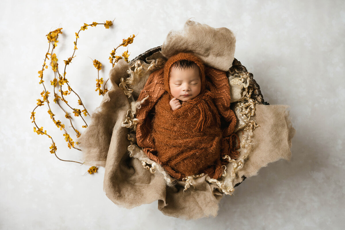This adorable newborn photography session in Pittsburgh features a baby girl peacefully resting in a cozy basket, wrapped in a soft brown knit blanket. The earthy tones and natural textures create a timeless and serene portrait, highlighting the beauty of newborns during their first days.