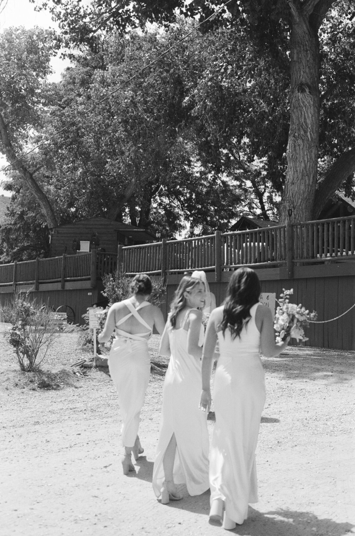 Summer Film- WEB-55
