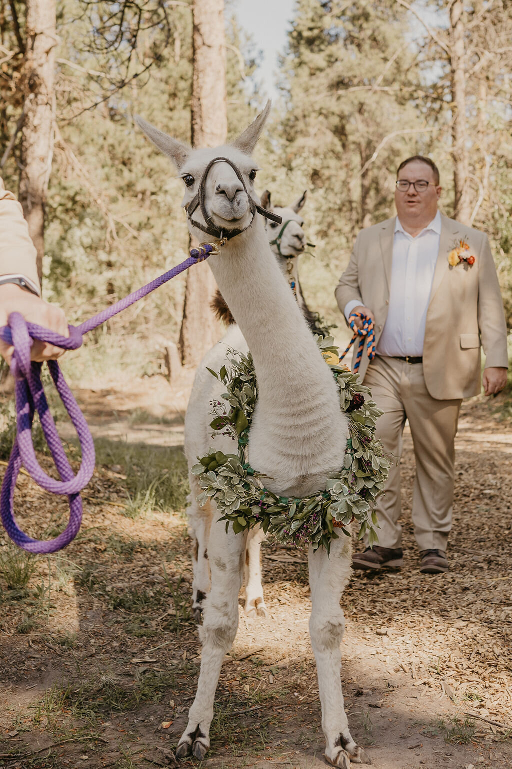 Kirsten+Phil-523