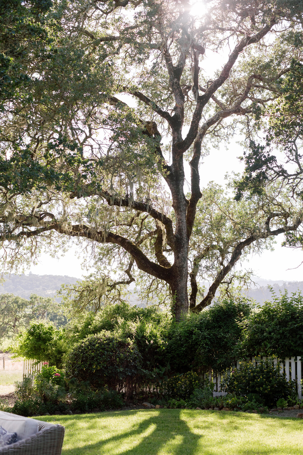 NatalieMax-Wedding-crystalkphotos-537