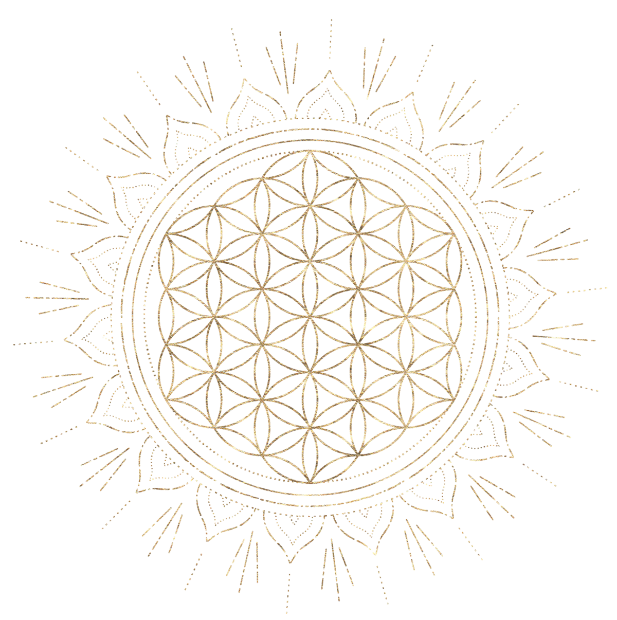 Flower of Life. We are all interconnected. I believe you found our community for a reason. You are invited to join us inside the Conscious Living Circle Online Community created by Sara Monk.