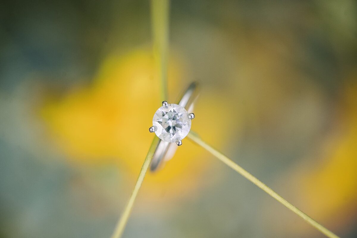 engagement-ring-by-yellow-flowers