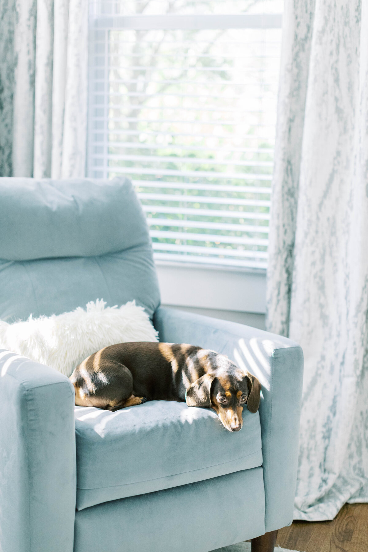winston-salem-newborn-photographer5