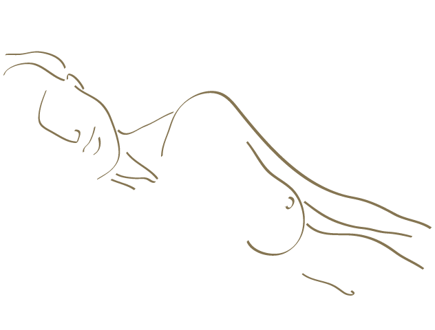 CCC_Templ_Body Illustrations 2-6
