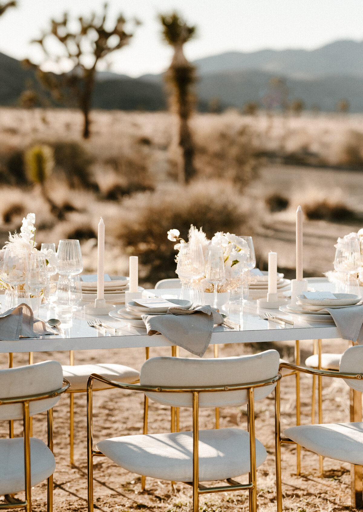 california-joshua-tree-national-park-wedding-elopement-bridals-west-coast-photography-wedding-elopement-emily-battles-photography- 26
