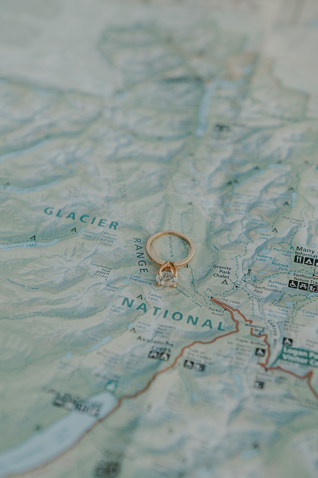 presley-gray-glacier-national-park-elegant-elopement-1236