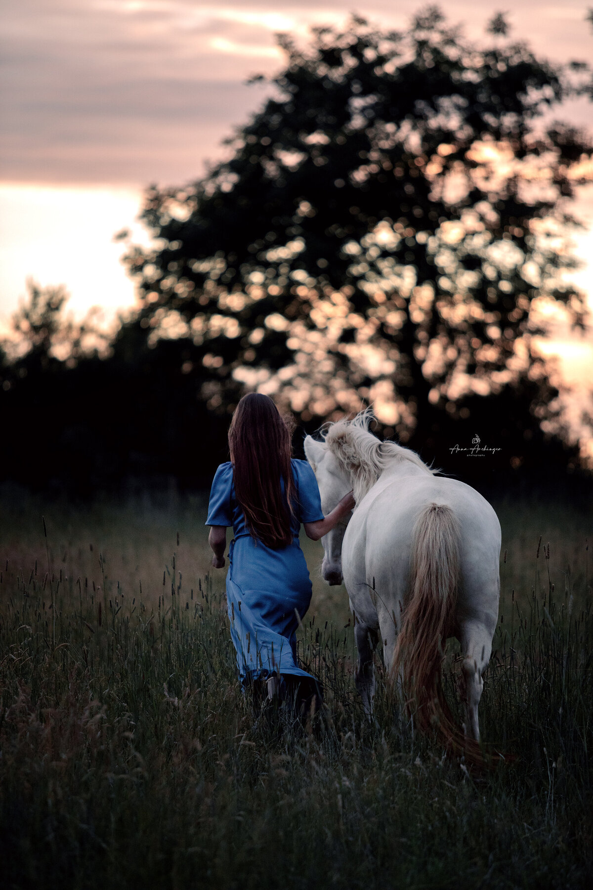 Horse and girl photography