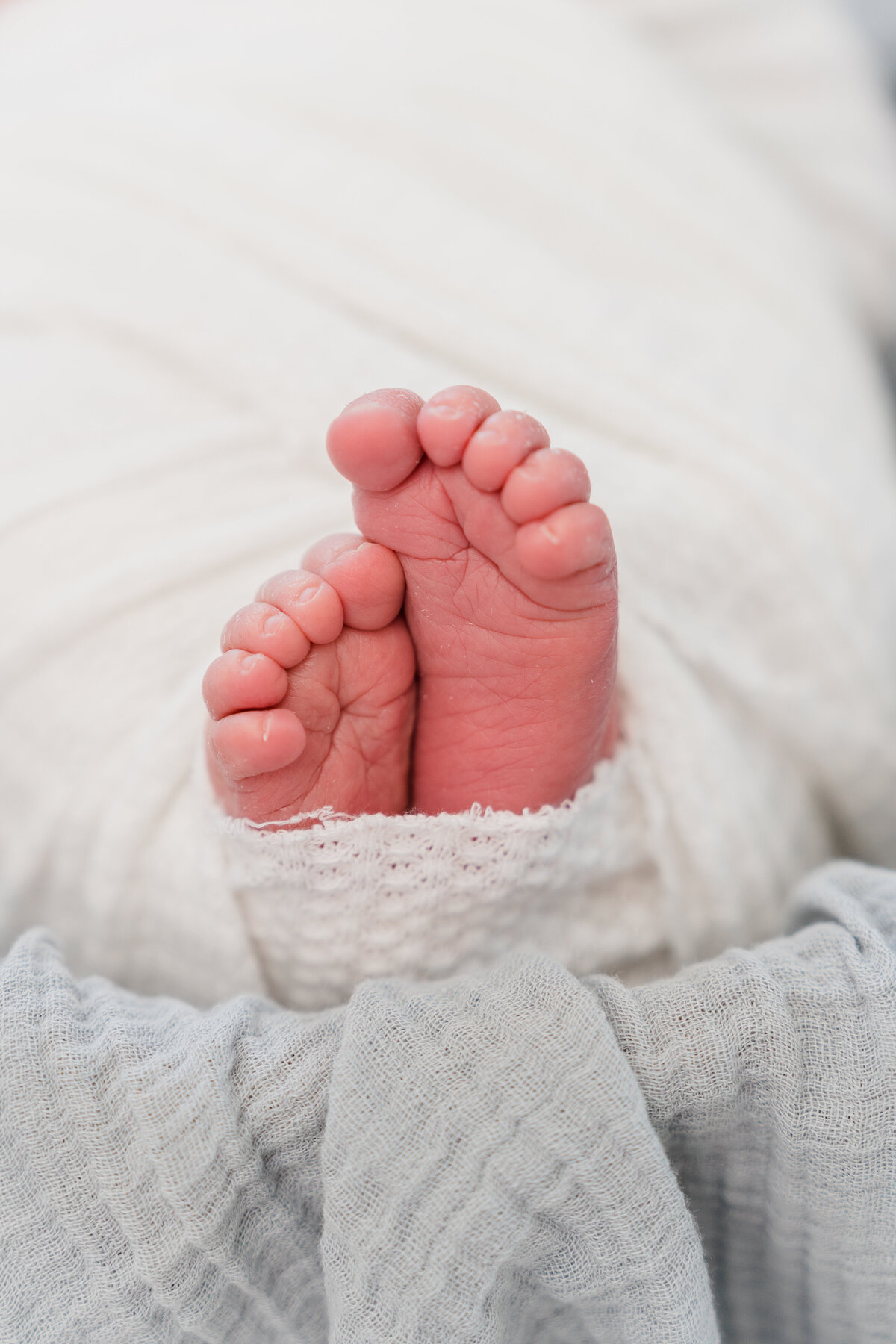 Jones Newborn 0521