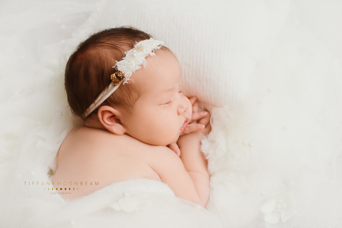 IMG_9789-Edit