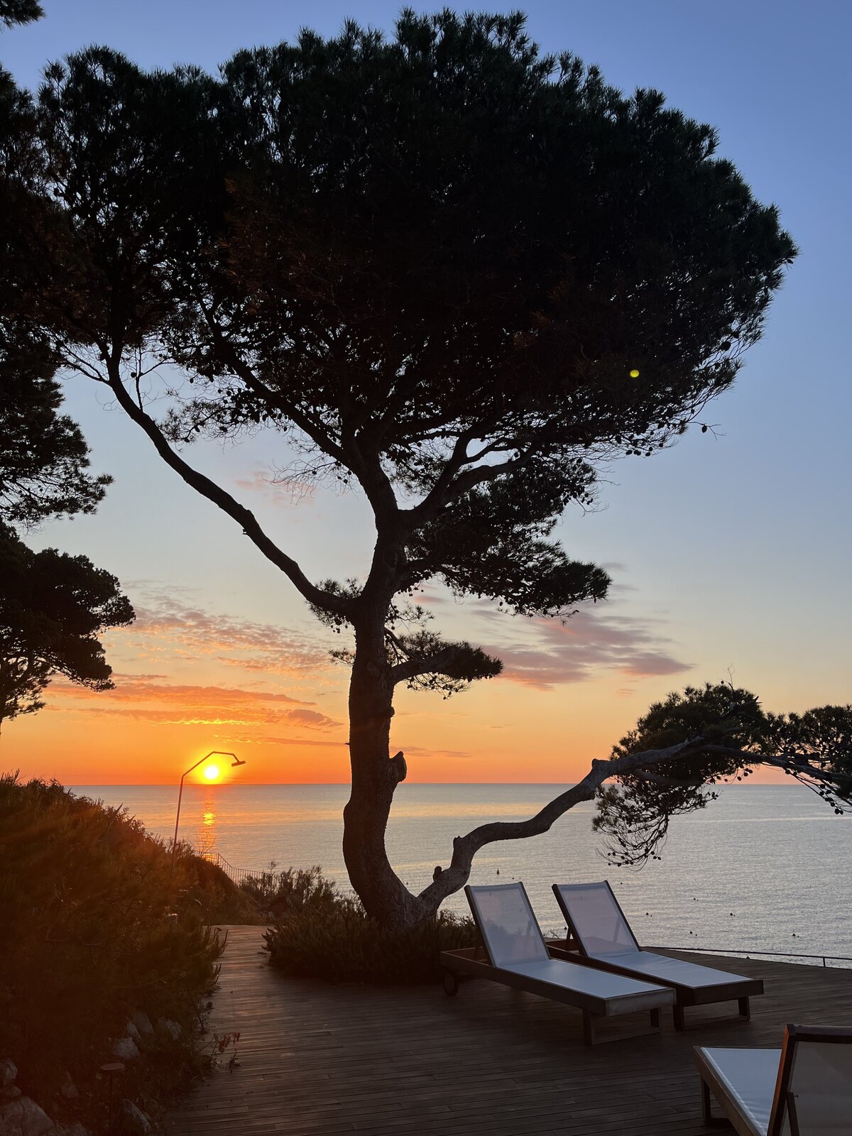 yoga and wellness retreat
