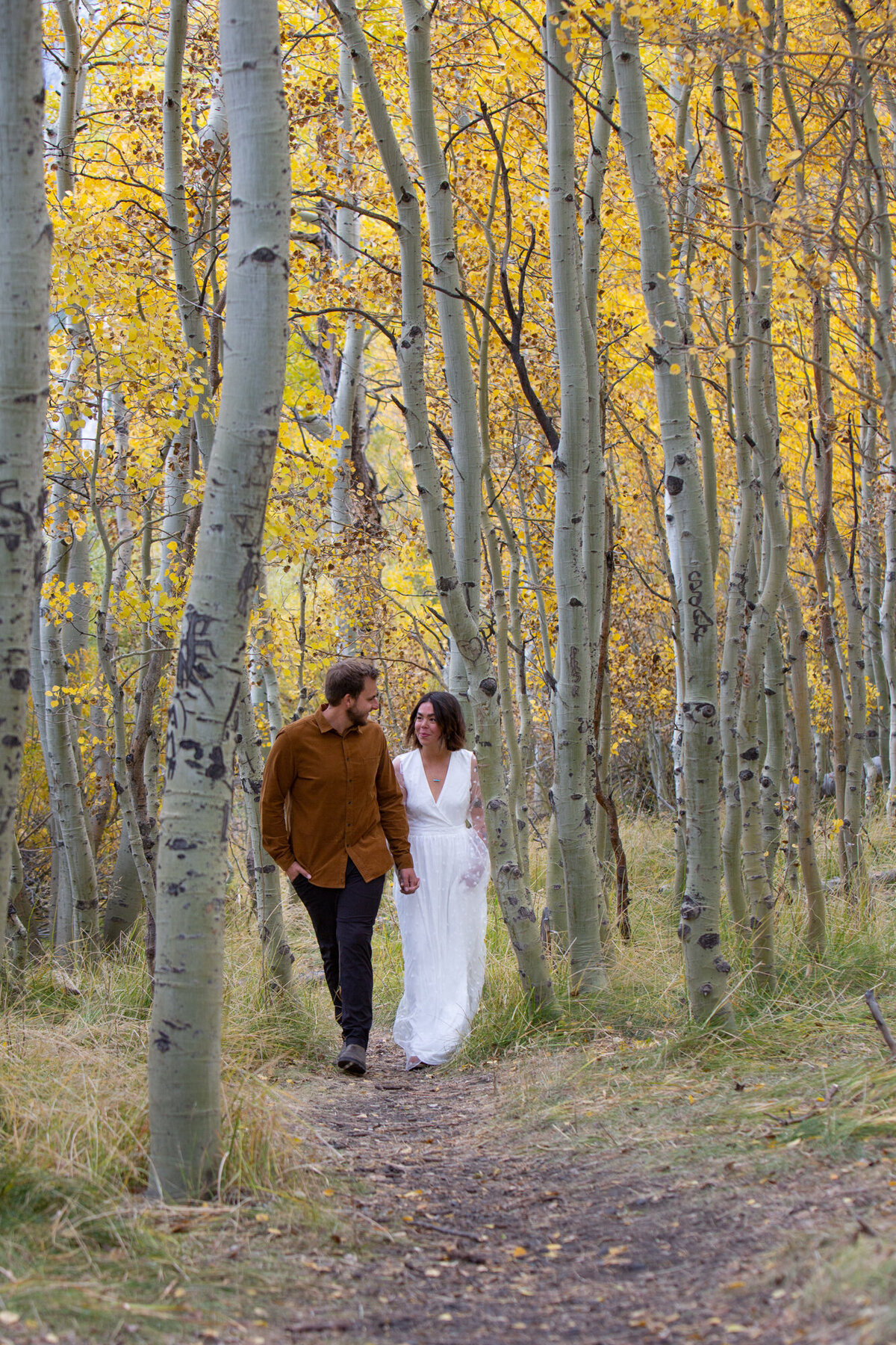 A bride and groom walk hand and hand through a grove of aspen trees in California.