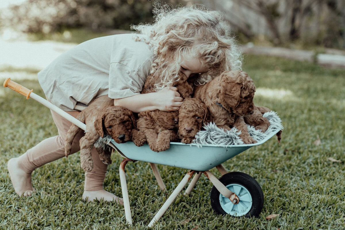 the-lifestyle-phodographer-perth-family-pet-photographer-litter00003