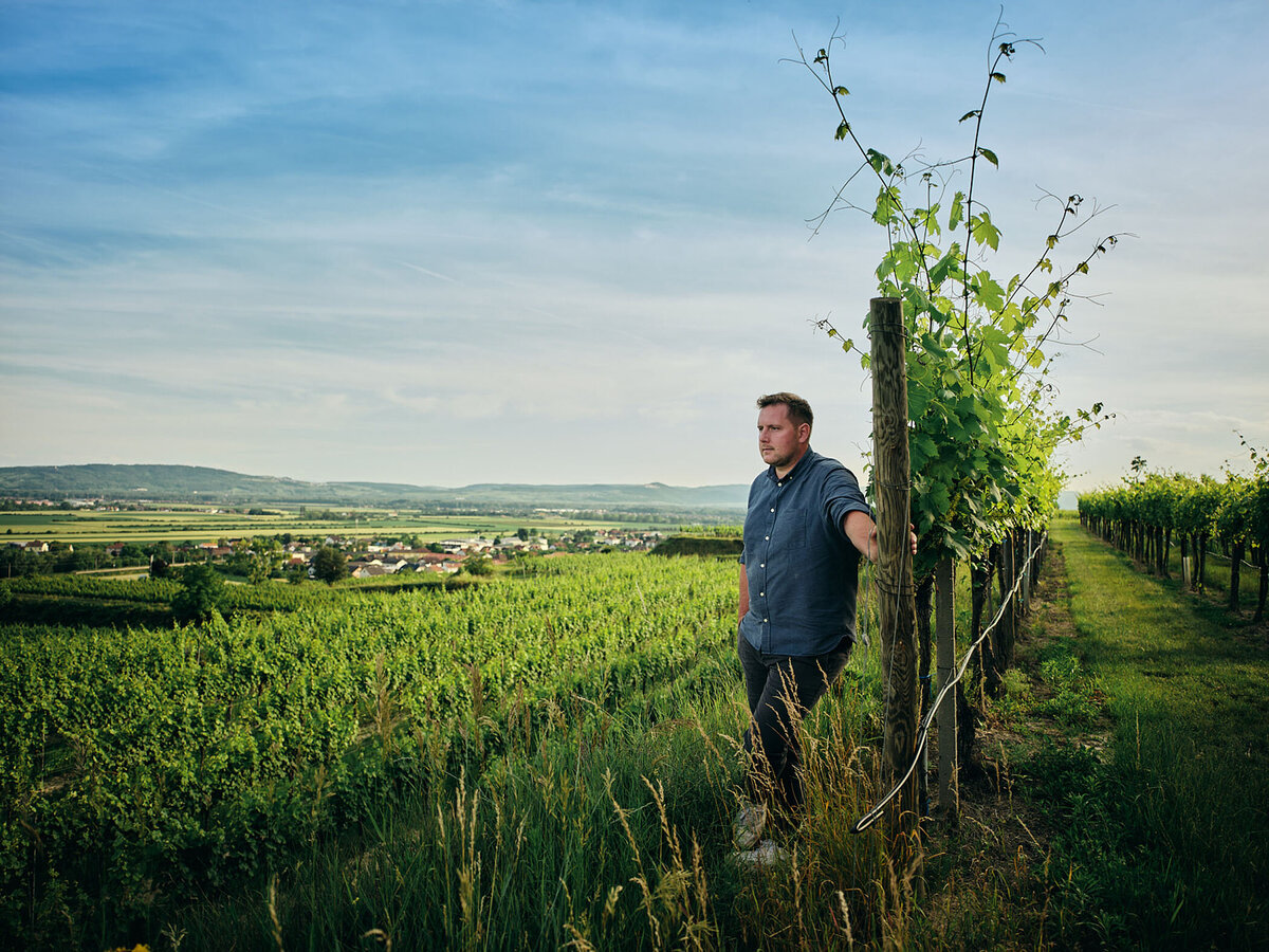 Authentisches Portrait eines Winzers im Weingarten mit Blick auf die Region – fotografiert für das Weingut Bründlmayer von Atelier Schulte. Businessfotografie mit regionalem Bezug.