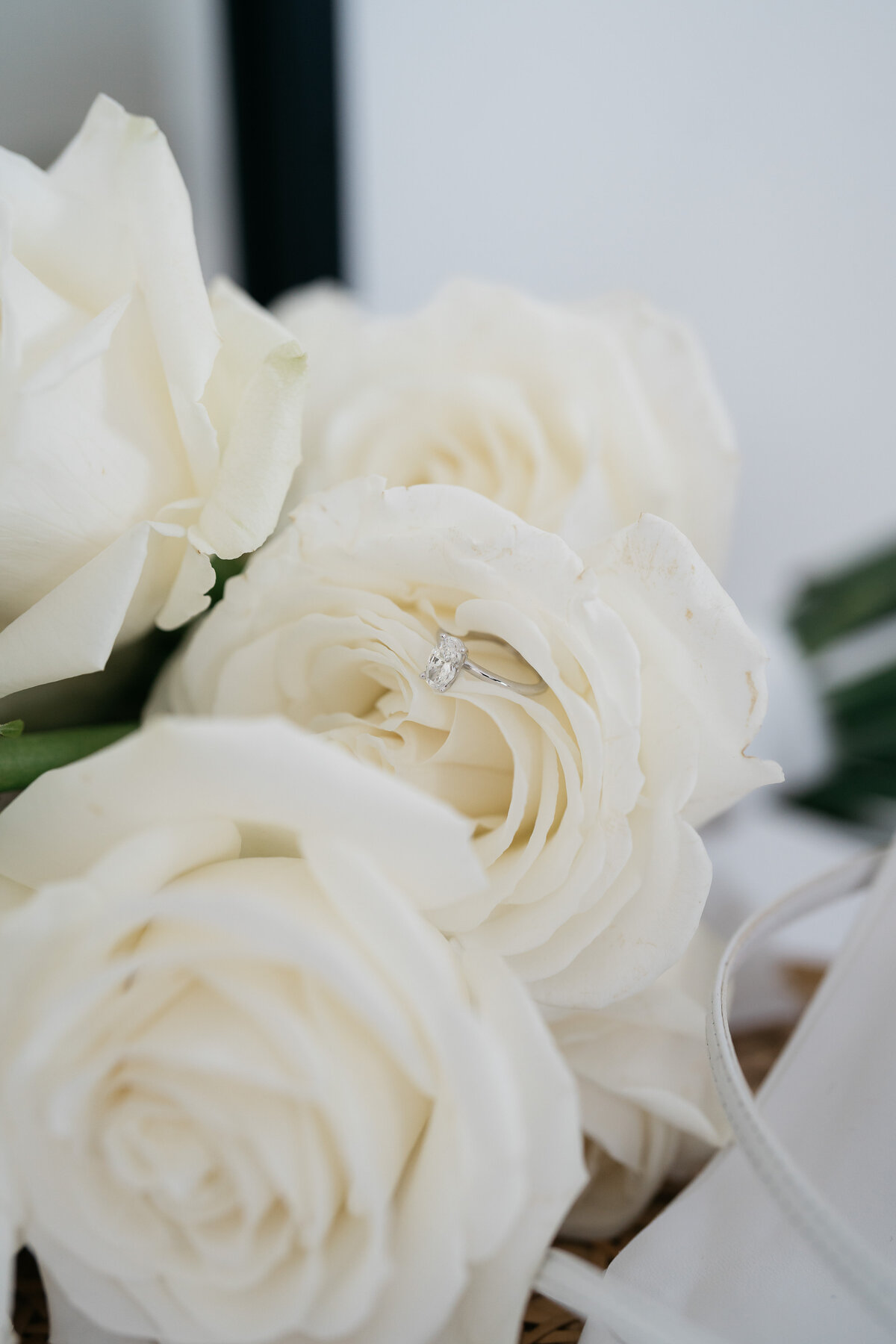 Zonzo Estate, Courtney Laura Photography, Yarra Valley Wedding Photographer, Jaclyn and Fletcher-76