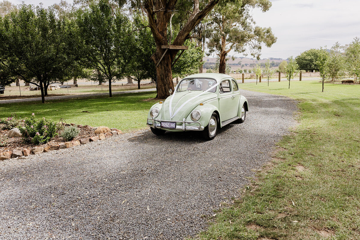 Kaitlyn and Mason - 15.03.2025 - JessicaCarrollPhotographer-107_websize