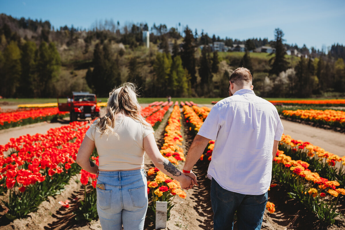 Tulip Engagement1