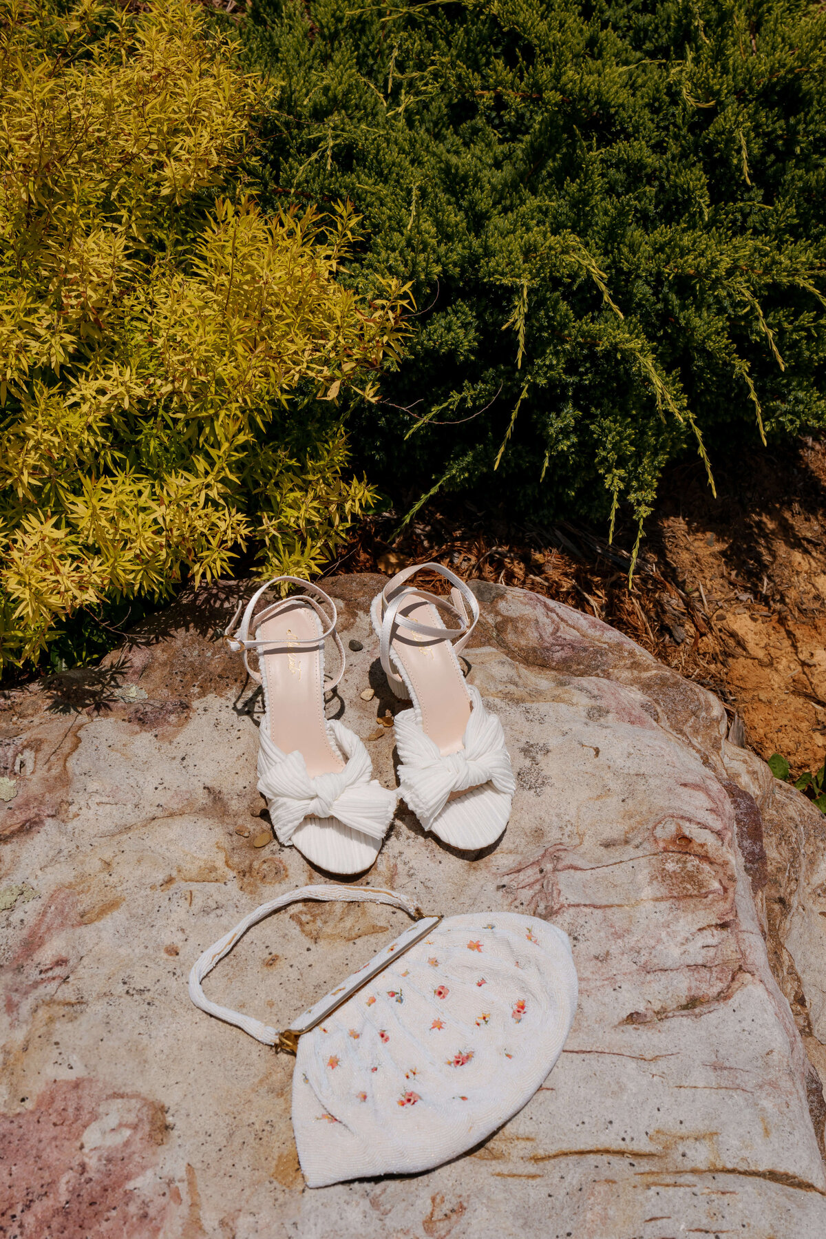 Blue-Ridge-Mountains-Wedding-9