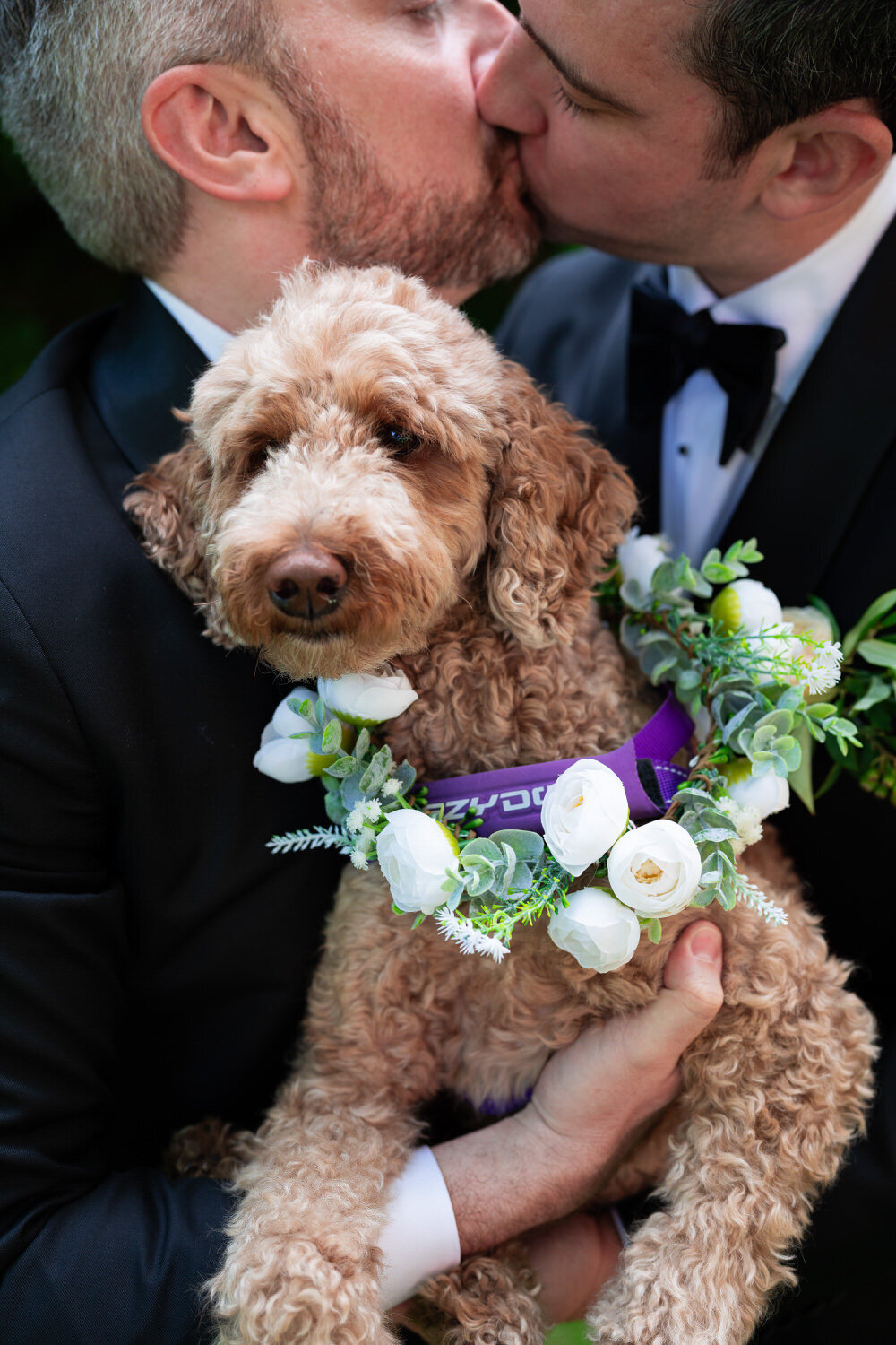 wedding-grooms-dog-florals