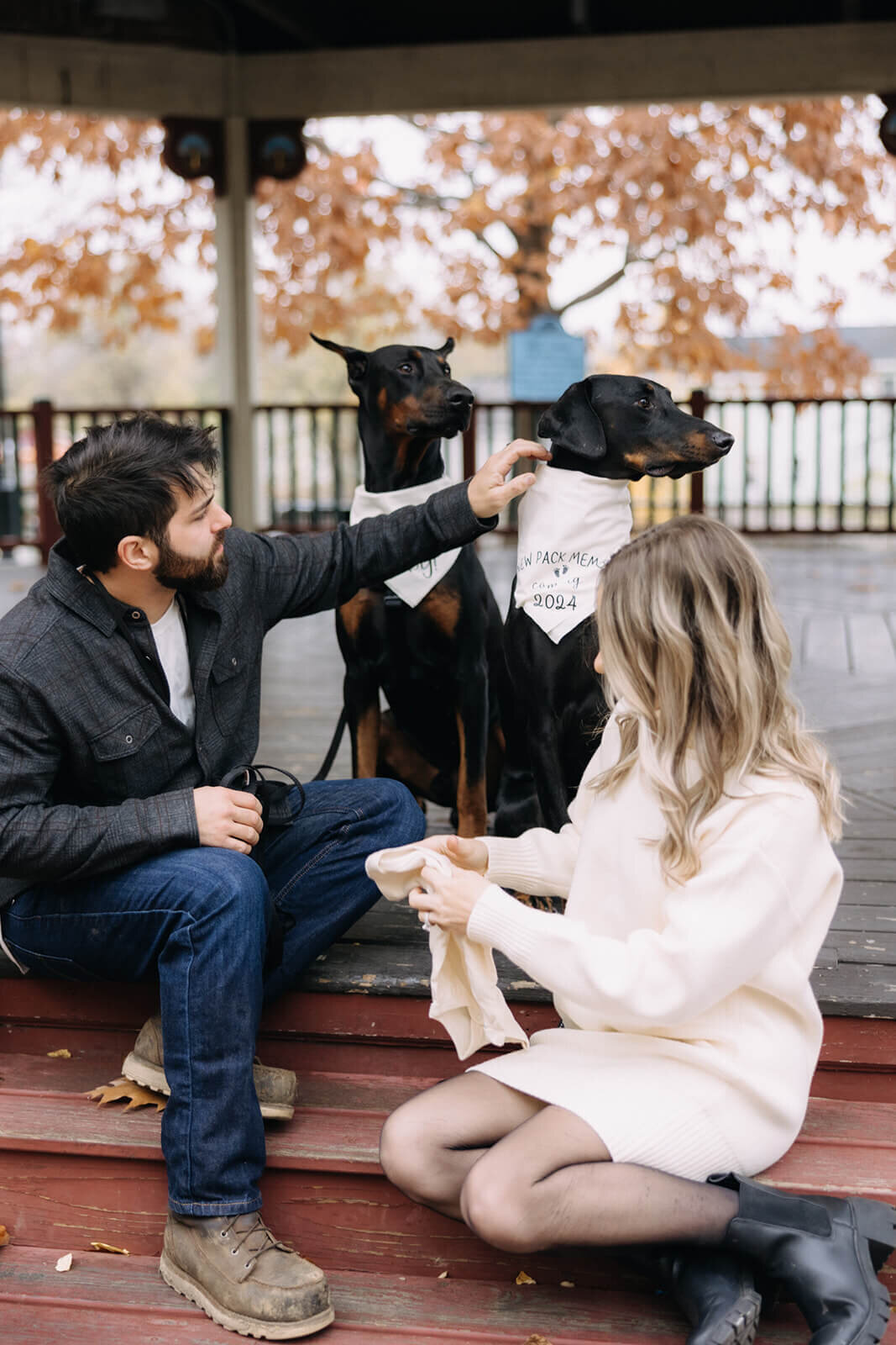 Dogs wearing scarf with baby announcement for  pregnancy announcement photos in Finger Lakes, NY