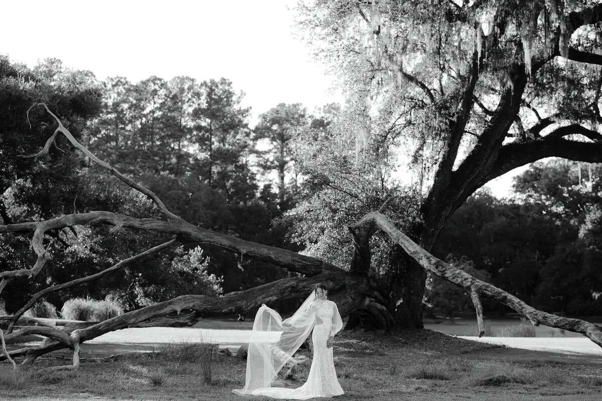Augusta GA Photographers