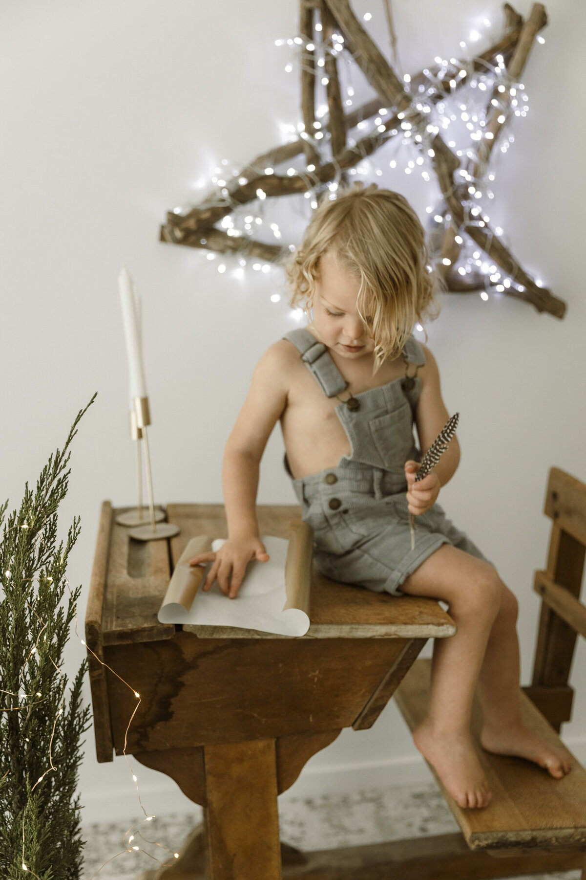 Blury Photography - Christmas - Mini  Photography - Sessions - Brisbane - Gold Coast - Christmas Tree 1