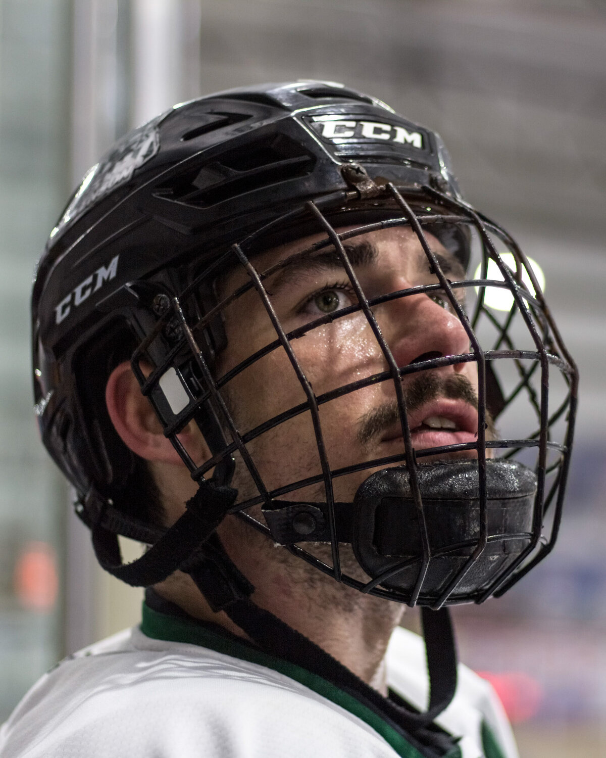 STEVENSON_PORTFOLIO-17